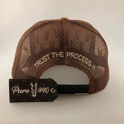 Jinete del Suroeste Brown