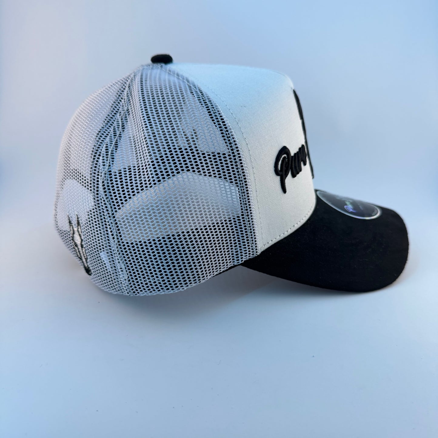 Original Logo Blanca Curved